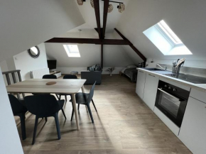 Sous les Toits - Appart Familial 5p, Centre-ville
